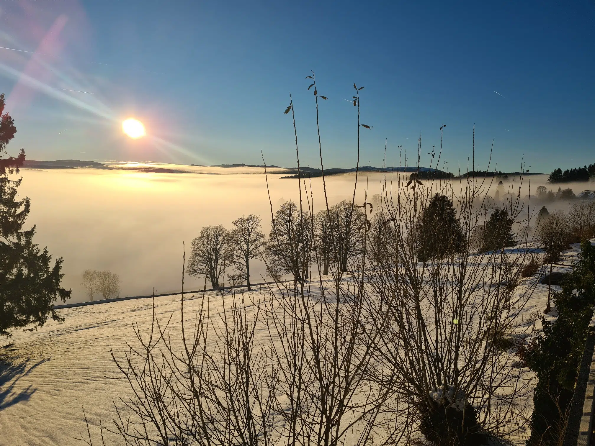 Sie sehen einen Ausblick vom JUFA Hotel Schwarzwald. Der Ort für erholsamen Familienurlaub und einen unvergesslichen Winter- und Wanderurlaub.