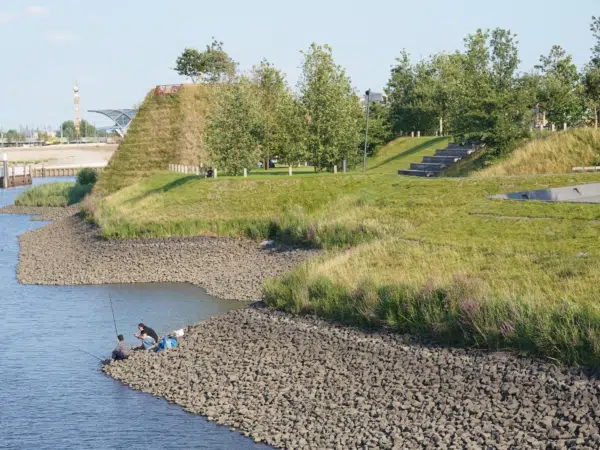 Ihr seht das Ufer und die Grünanlage des Baakenparks im Hamburger Stadtteil Hafencity. JUFA Hotels bietet erlebnisreichen Städtetrip für die ganze Familie und den idealen Platz für Ihr Seminar.