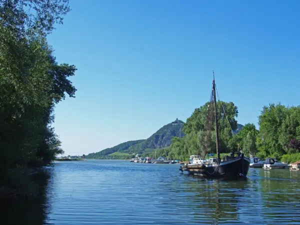 Boote am Rhein mit Drachenfels im Hintergrund im Sommer. JUFA Hotels bietet erlebnisreiche Städtetrips für die ganze Familie und den idealen Platz für Ihr Seminar., boote, burg, burgruine, drachenfels, freizeittipps, highlights, himmel, königswinter, natur, nordrhein-westfalen, rhein, rheinschifffahrt, segelboot, siebengebirge, Wasser