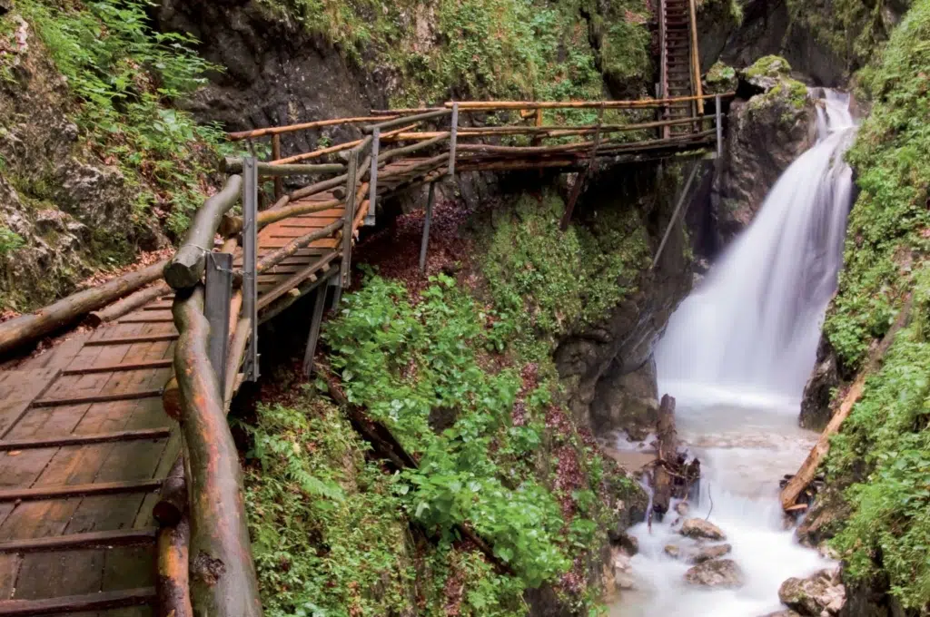 Ihr seht die Dr. Vogelsang-Klamm im Sommer.