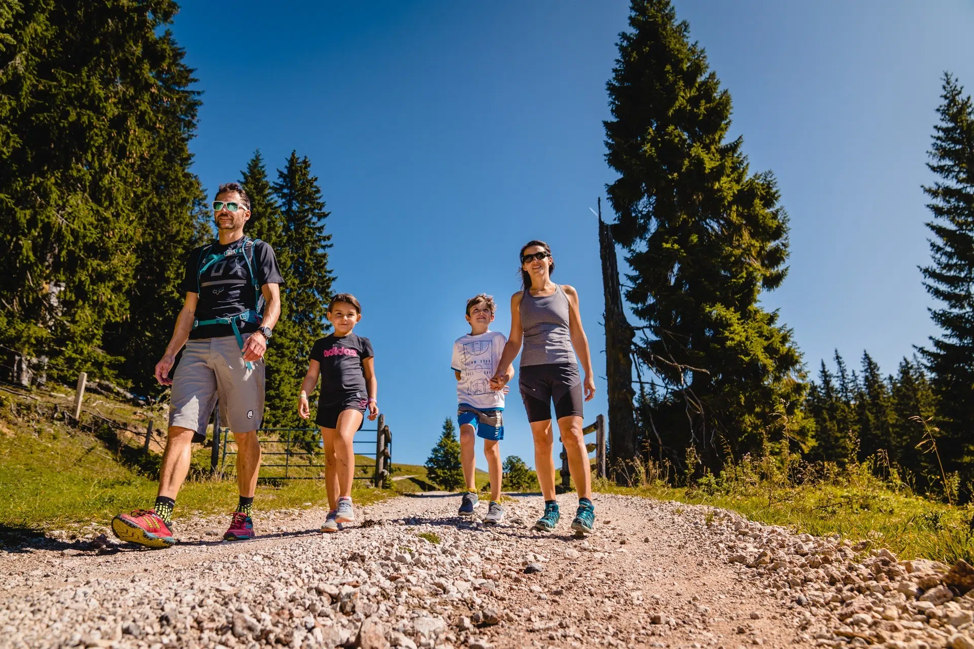 Ihr seht eine Familie beim Wandern im Mariazellerland auf einem Schotterweg mit strahlend blauem Himmel.