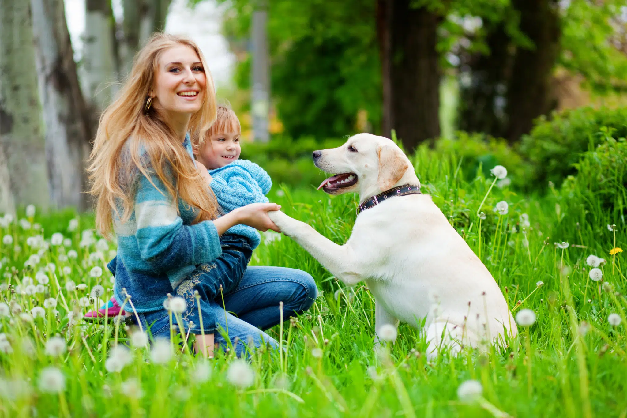 Eine Frau sitzt mit ihrem Golden Retriever auf einer Wiese im Sommer und spielt mit ihm. JUFA Hotels bietet Ihnen den Ort für erlebnisreichen Natururlaub für die ganze Familie.