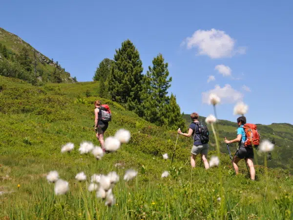 Ihr seht Wanderer auf der Riesneralm.