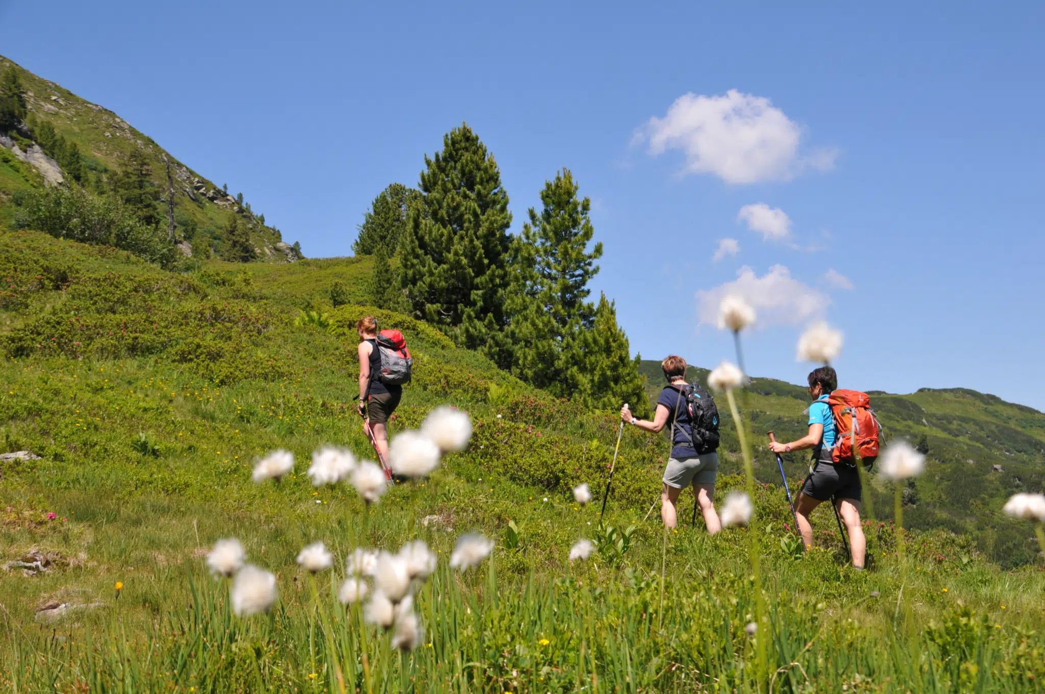 Ihr seht Wanderer auf der Riesneralm.