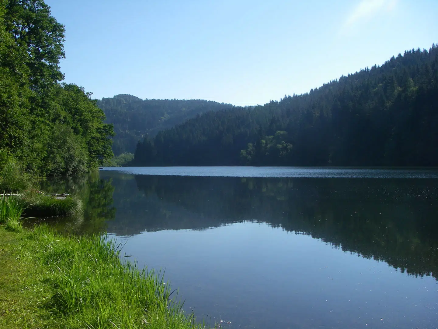 Ihr seht den Goggausee in Steuerberg in Kärnten mit tollem Waldpanorama im Sommer.