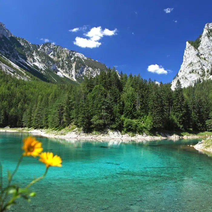 Ihr seht den Grüner See im Mariazeller Land mit Berpanorama im Sommer. JUFA Hotels bietet Ihnen den Ort für erlebnisreichen Natururlaub für die ganze Familie.