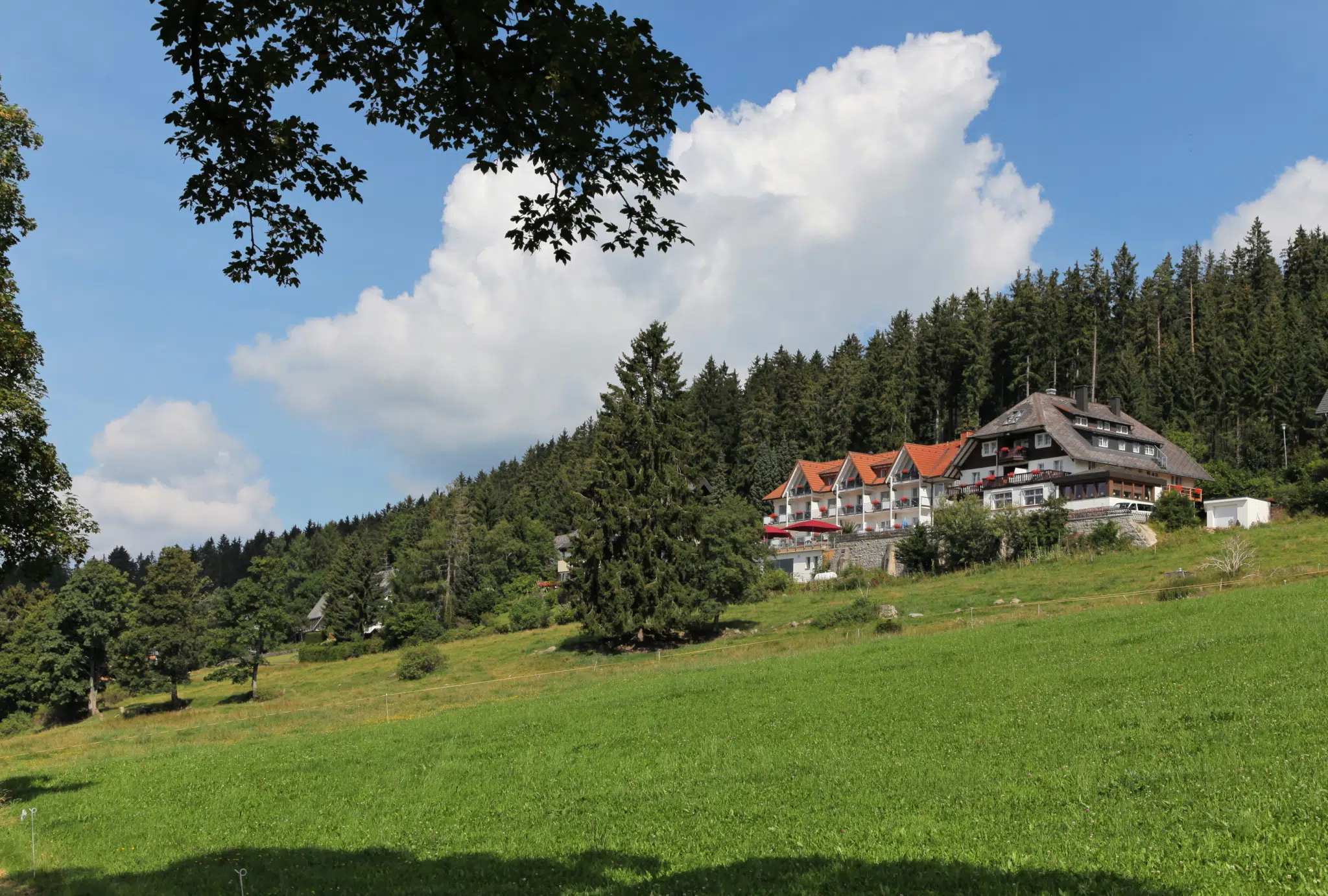 Sie sehen ein sommerliches Panorama des JUFA Hotel Schwarzwald. Das JUFA Hotel Schwarzwald ist idealer Ausgangspunkt für Ihren aktiven Urlaub im Hochschwarzwald.