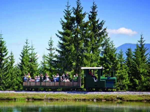 Ihr seht die Waldeisenbahn auf der Mariazeller Bürgeralpe mit Waldeisenbahn im Mariazellerland in der Nähe von JUFA Hotels. Der Ort für erholsamen Familienurlaub und einen unvergesslichen Winter- und Wanderurlaub.