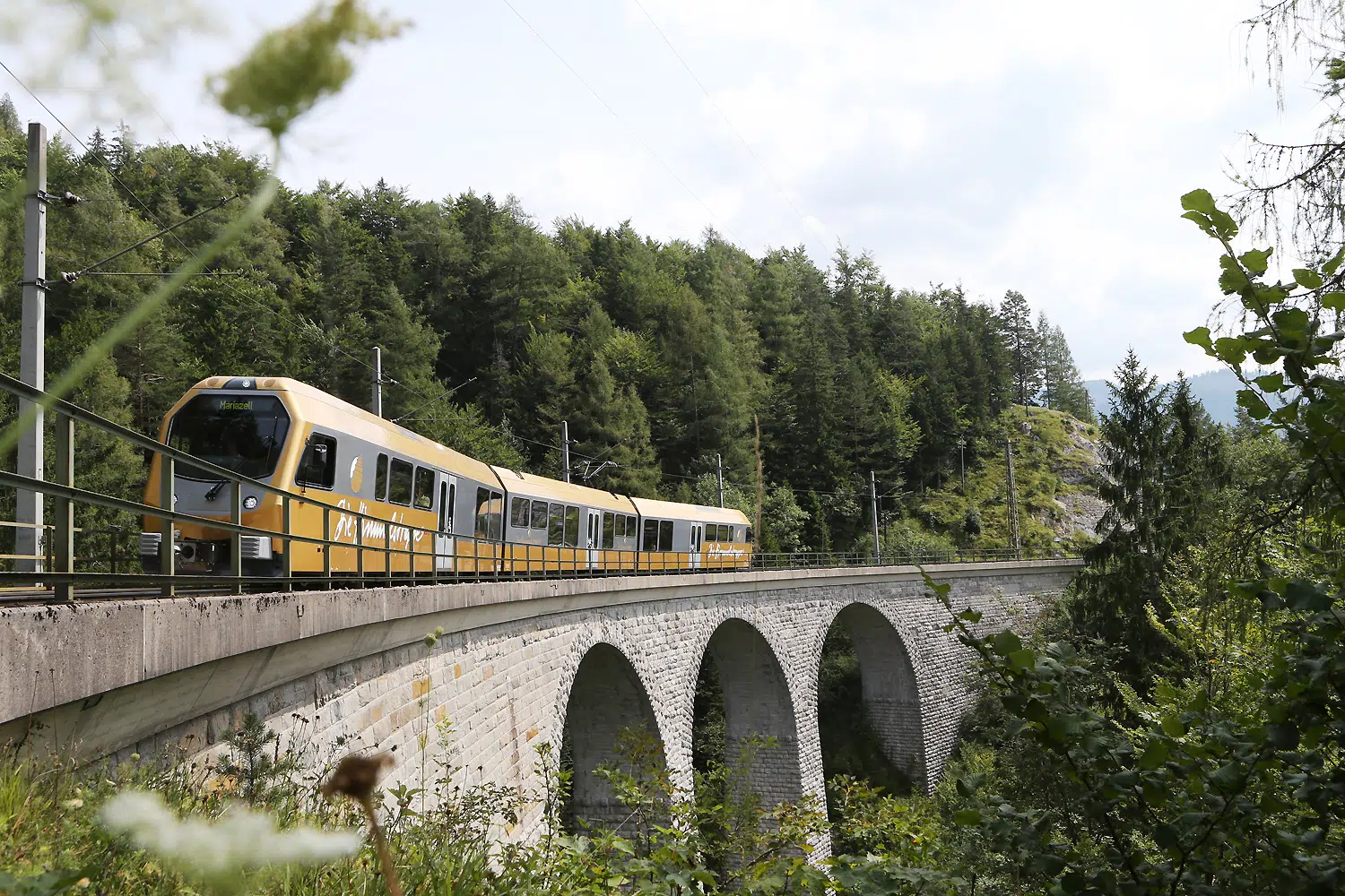 Ihr seht die Mariazellerbahn, alias die Himmelstreppe, die über eine Eisenbahnbrücke durch Landschaft in der Nähe von JUFA Hotels fährt. Der Ort für erholsamen Familienurlaub und einen unvergesslichen Winter- und Wanderurlaub.