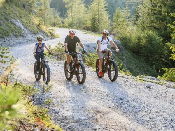 Ihr seht drei Personen beim Mountainbiken auf einem Waldweg im Mariazellerland.