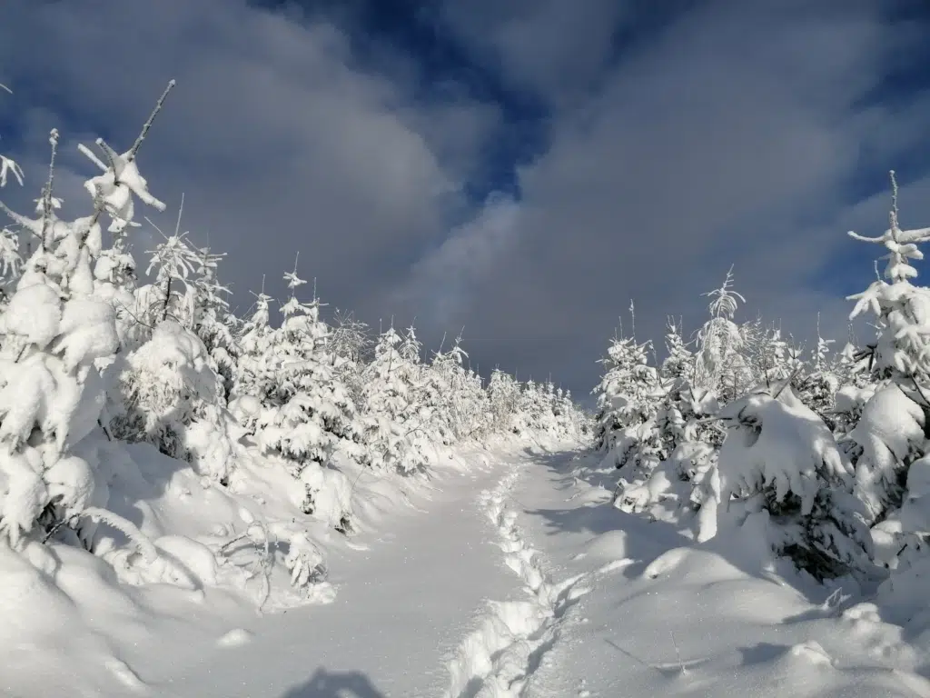 Ihr seht eine Wandertour zum Naaser Höhenweg unweit vom JUFA Hotel Weiz im Winter. JUFA Hotels bietet erholsamen Familienurlaub und einen unvergesslichen Winterurlaub.