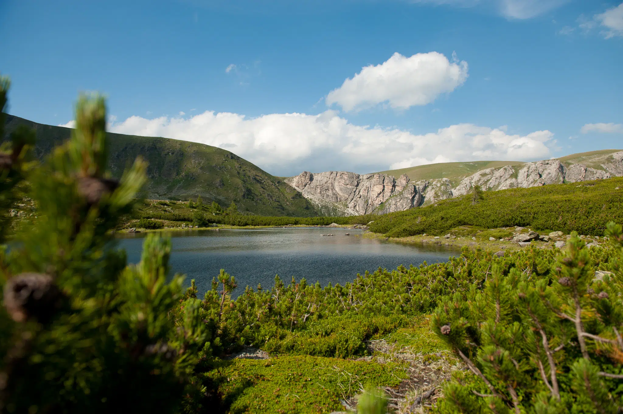 Ihr seht einen Bergsee im Sommer inmitten der Kärntner Nockberge.