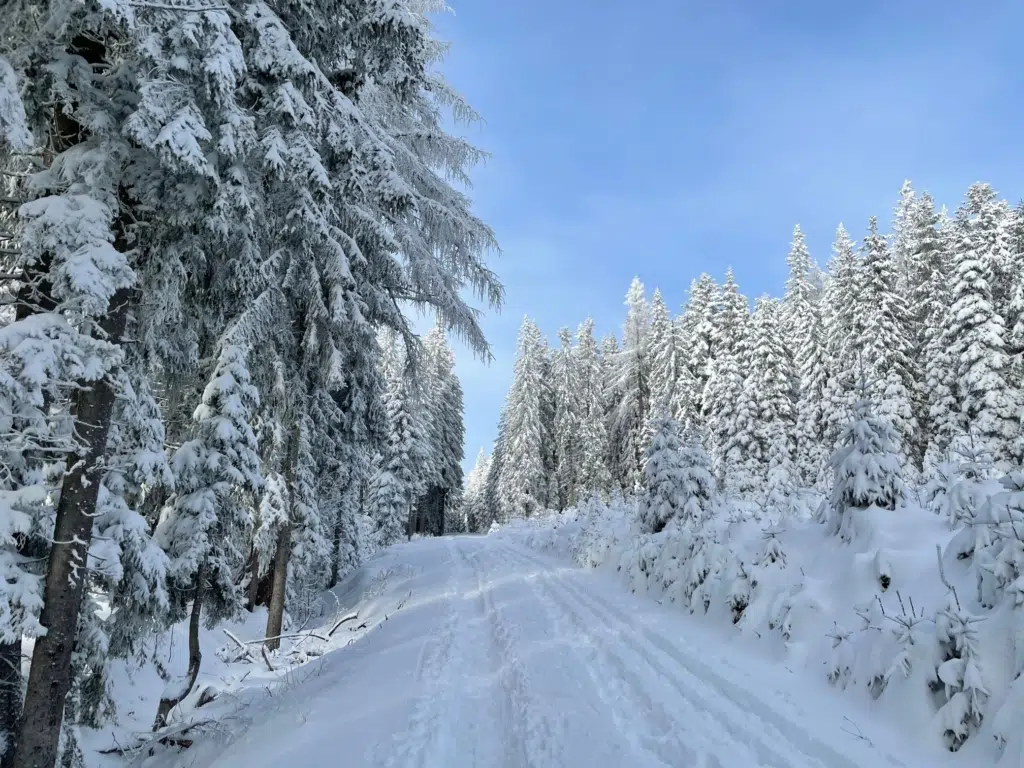 Ihr seht den Rabenwald nahe dem JUFA Hotel Weiz im Winter. JUFA Hotels bietet erholsamen Familienurlaub und einen unvergesslichen Winterurlaub.