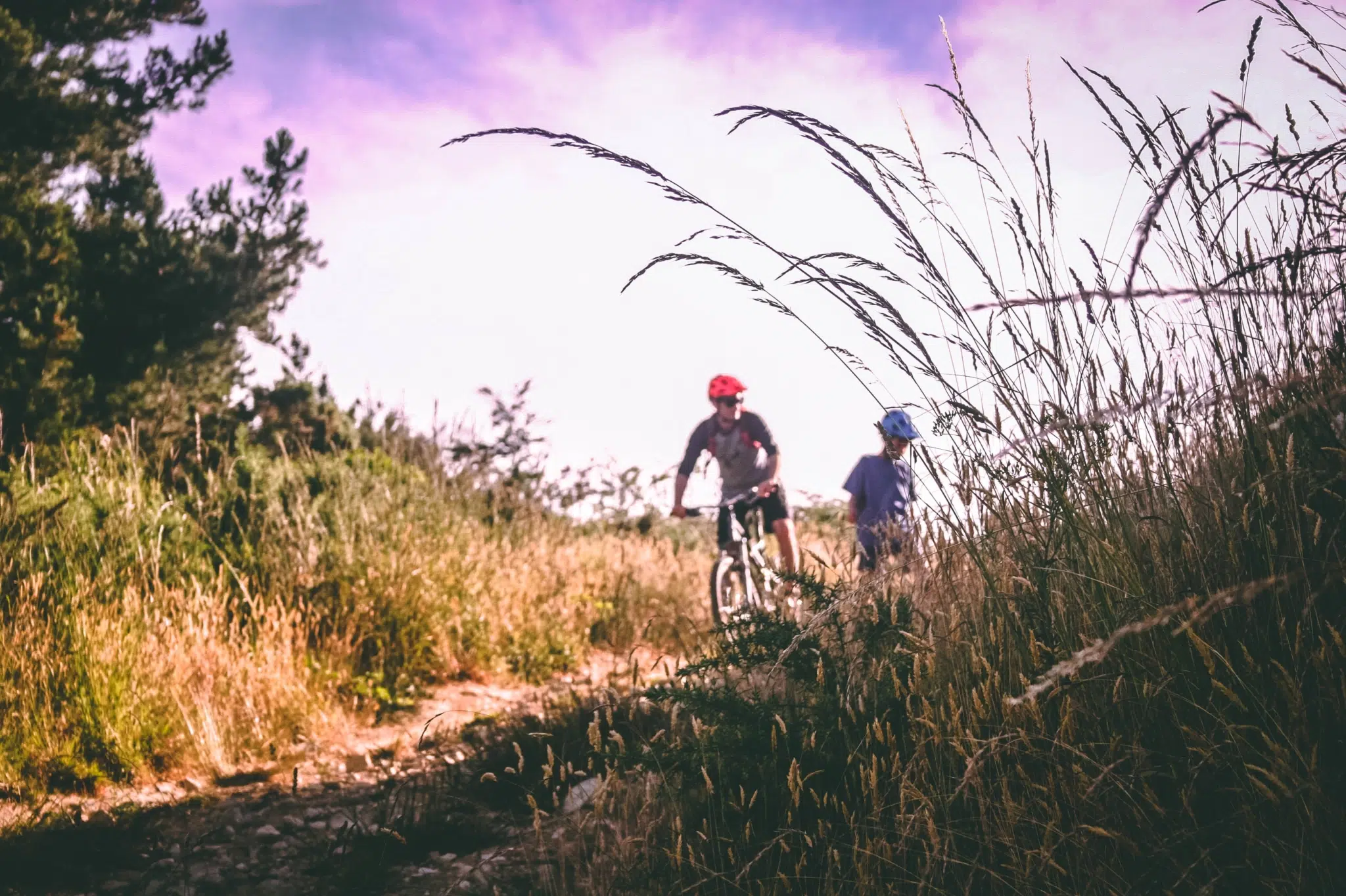 Ihr seht Personen beim Mountainbiken.