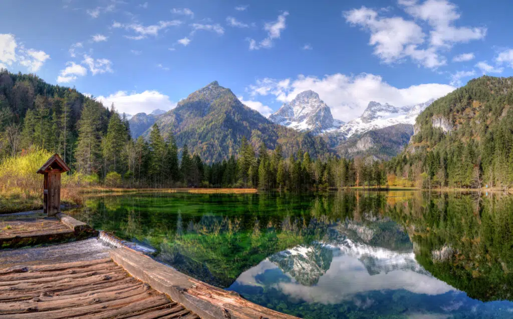 Ihr seht den Schiederweiher in Oberösterreich im Sommer.