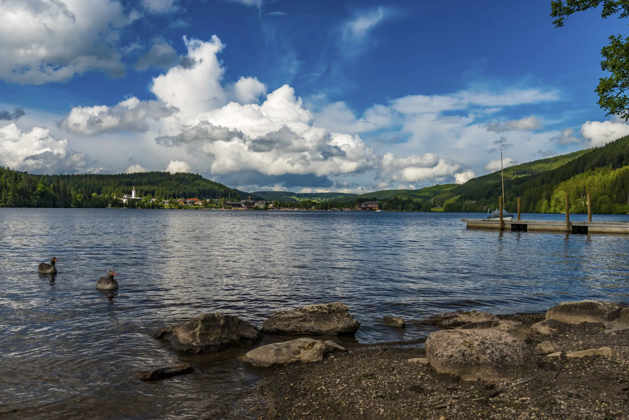 Titisee mit Blick zum Ort Titisee