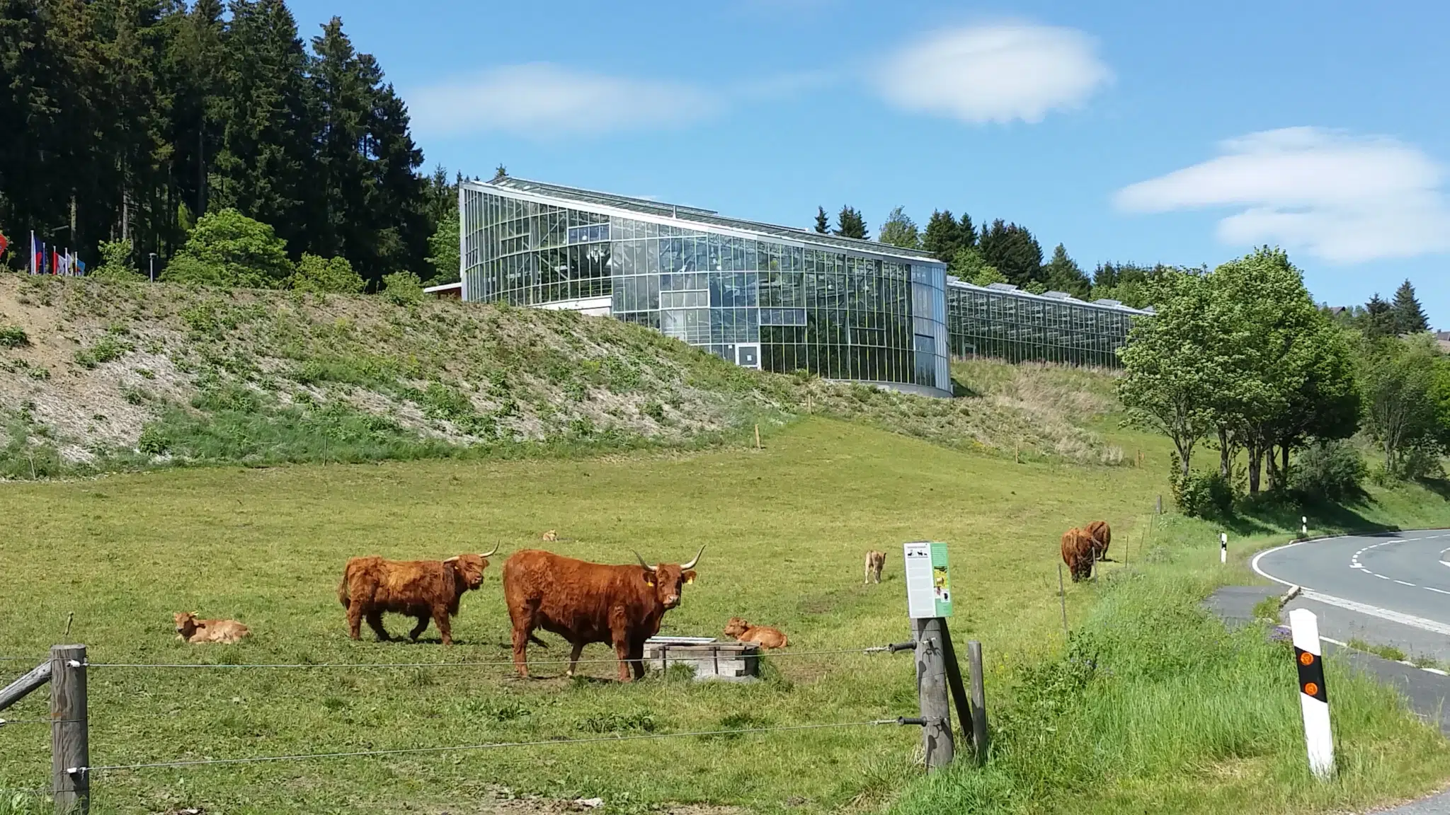 Ihr seht das Tropenhaus Eden am Rennsteig in Tettau im Frankenwald. JUFA Hotels bietet kinderfreundlichen und erlebnisreichen Urlaub für die ganze Familie.