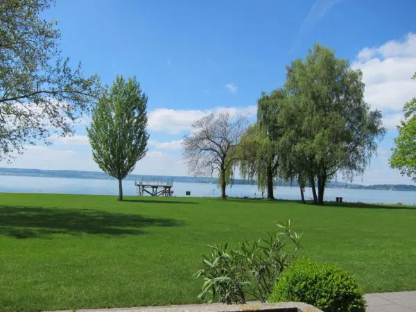 Ihr seht eine grüne Wiese und das Ufer vom Bodensee mit Bäumen.