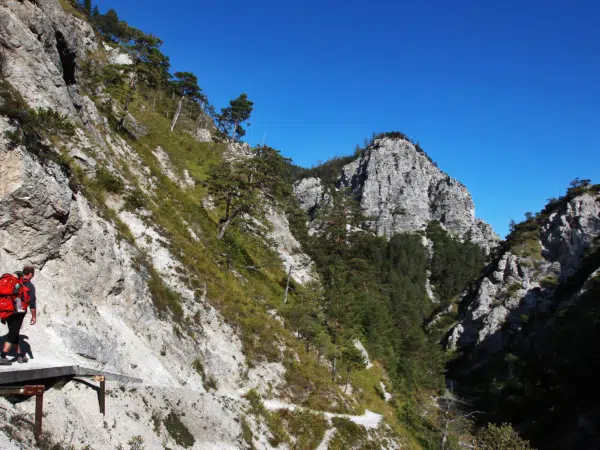 Ihr seht einen Wanderer beim Wandern in den Ötschergräben. JUFA Hotels bietet Ihnen den Ort für erlebnisreichen Natururlaub für die ganze Familie.