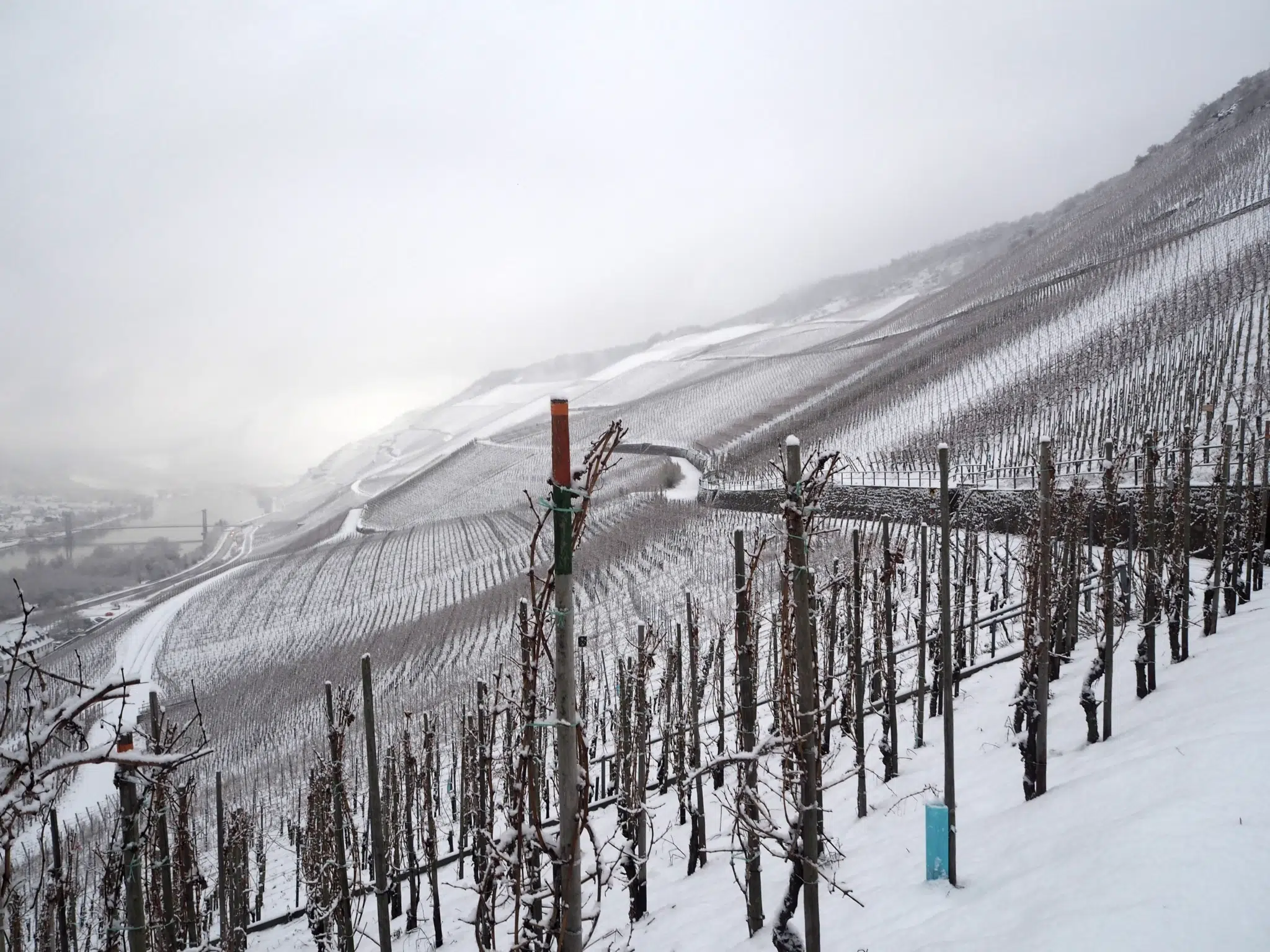 Sie sehen den Ausblick auf die Mosel im Winter