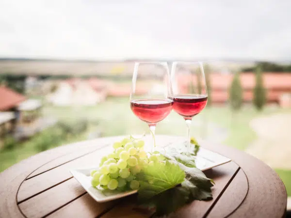 Ihr seht Wein im JUFA Hotel Neutal – Landerlebnis mit Weintrauben. JUFA Hotels bietet Ihnen den Ort für erlebnisreichen Natururlaub für die ganze Familie.