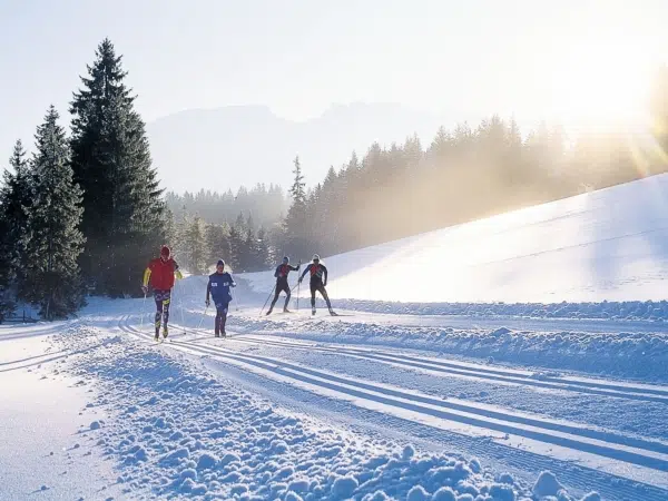 Ihr seht eine Gruppe von Personen beim Langlaufen im tief verschneiten Mariazeller Land.