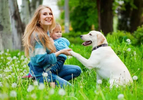 Ihr seht eine Frau mit ihrem Kind auf einer Wiese mit ihrem Hund.