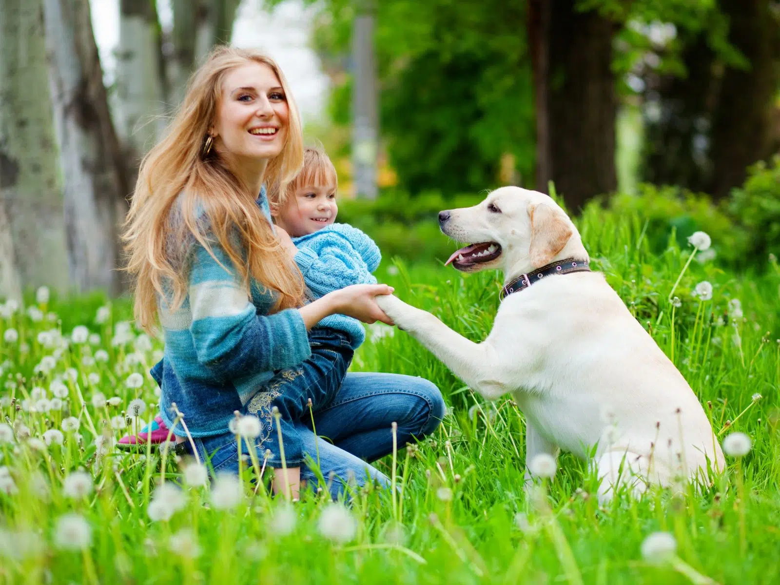 Ihr seht eine Frau mit ihrem Kind auf einer Wiese mit ihrem Hund.