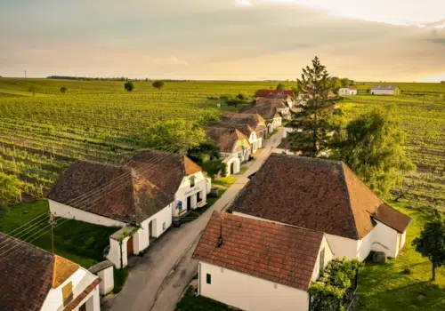 Ihr seht eine Kellergasse mit mehreren Häuschen, umgeben von Weingärten, in Zellerndorf im Weinviertel (Niederösterreich).