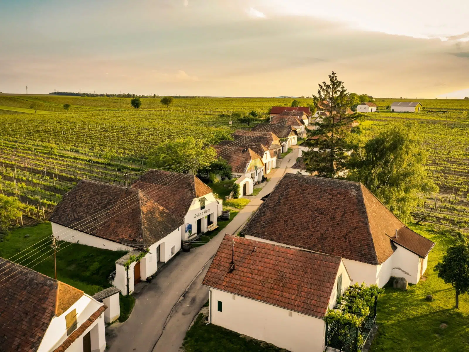 Ihr seht eine Kellergasse mit mehreren Häuschen, umgeben von Weingärten, in Zellerndorf im Weinviertel (Niederösterreich).