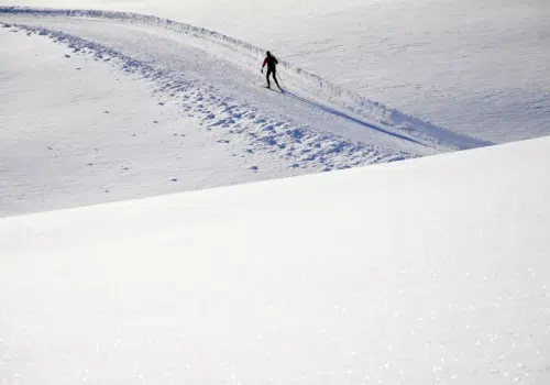 Ihr seht einen Langläufer in der steirischen Winterlandschaft.