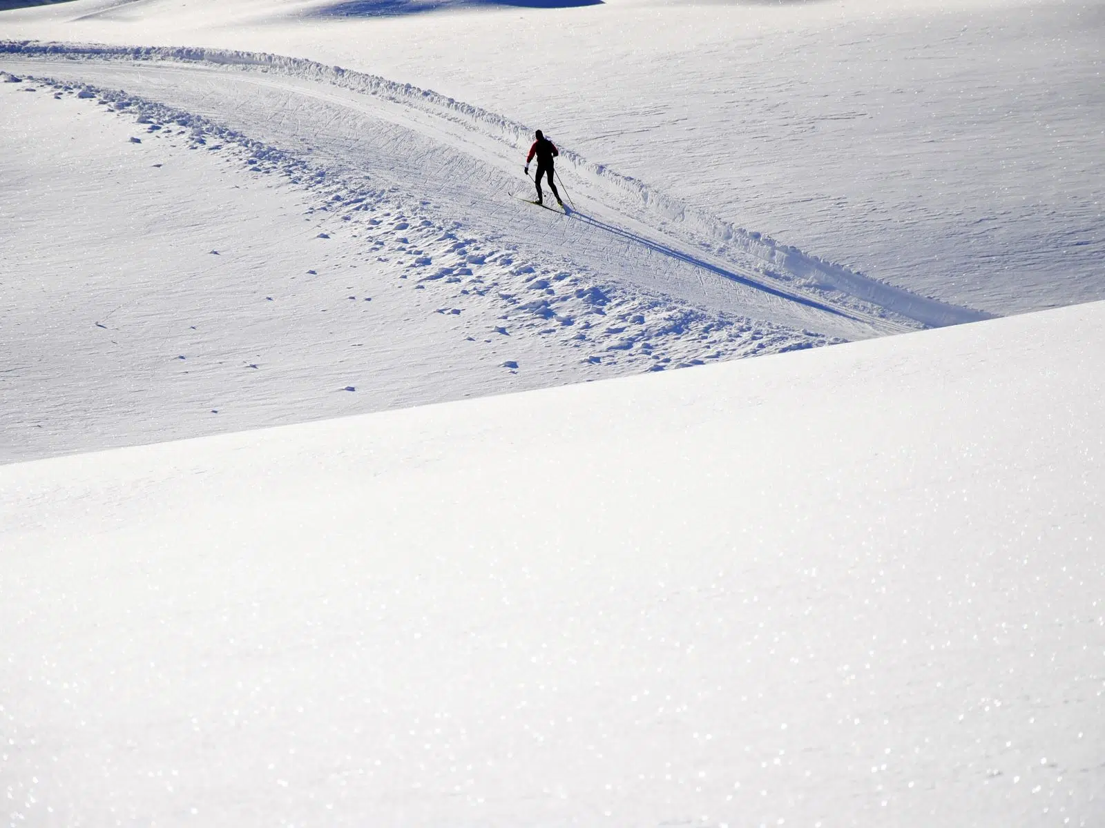 Ihr seht einen Langläufer in der steirischen Winterlandschaft.