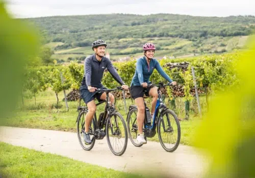 Ihr seht zwei Radfahrer in Falkenstein im Weinviertel. JUFA Hotels bietet Ihnen den Ort für erlebnisreichen Natururlaub für die ganze Familie.