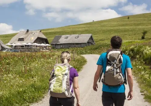 Ihr seht ein Pärchen im Schwarzwald wandern.