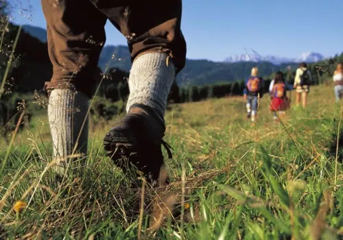 Ihr seht den Fuß einer Person beim Wandern von hinten mit Fokus auf den Wanderschuh.