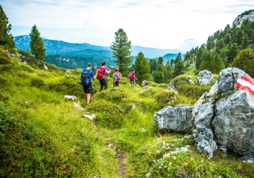 Ihr seht eine Gruppe von Personen von hinten beim Wandern im Sommer in der Region Schladming-Dachstein.