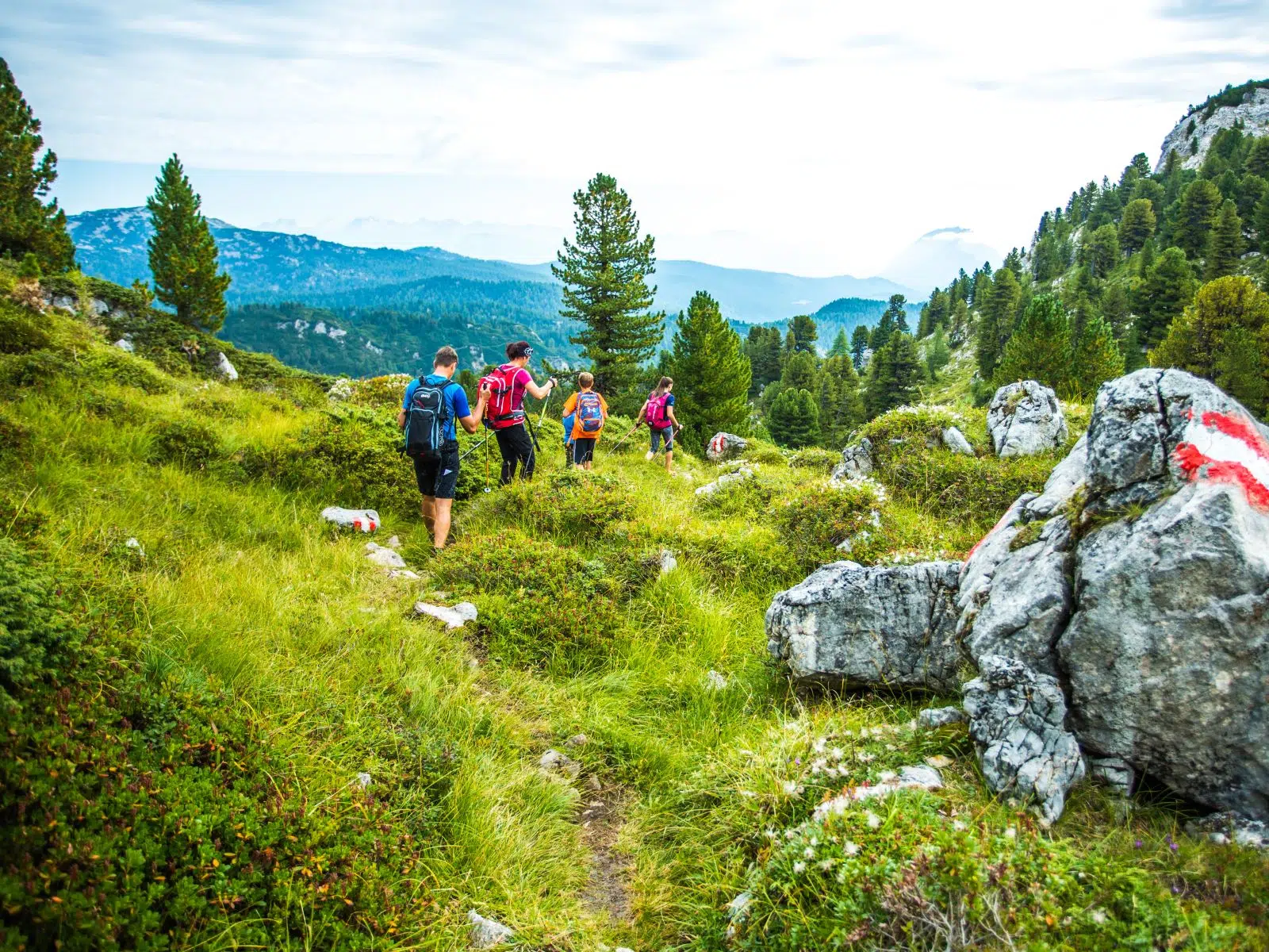 Ihr seht eine Gruppe von Personen von hinten beim Wandern im Sommer in der Region Schladming-Dachstein.