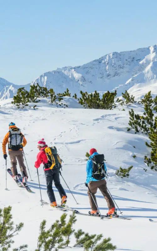 Skitourengeher in der verschneiten Landschaft