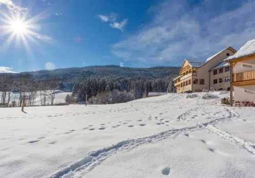 Ihr seht die Aussenansicht von der Ferne im Winter im JUFA Hotel Gitschtal***.