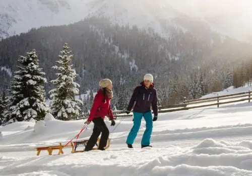 Ihr seht eine Rodelbahn im Wipptal. Das JUFA Hotel Wipptal ist der ideale Ausgangspunkt für einen unvergesslichen Winterurlaub in Tirol.