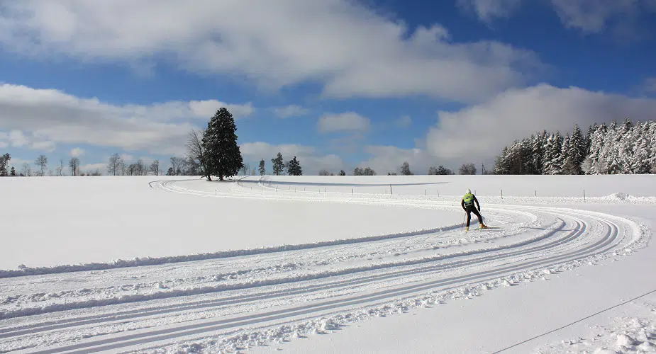 Langlaufen im Hochschwarzwald