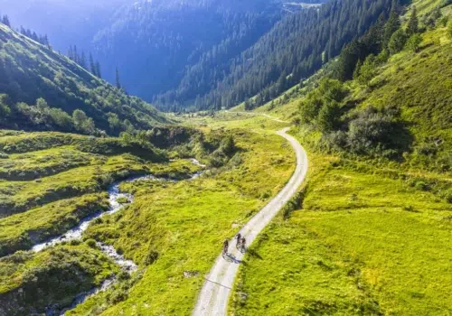 Ihr seht drei Mountainbiker auf dem Weg zum Muttjöchle. JUFA Hotels bietet Ihnen den Ort für erlebnisreichen Natururlaub für die ganze Familie.