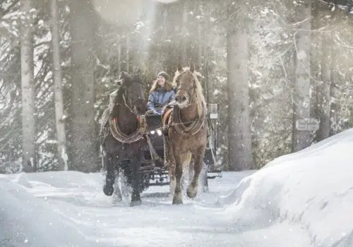 Ihr seht eine Frau beim Pferdeschlittenfahren im Winter.