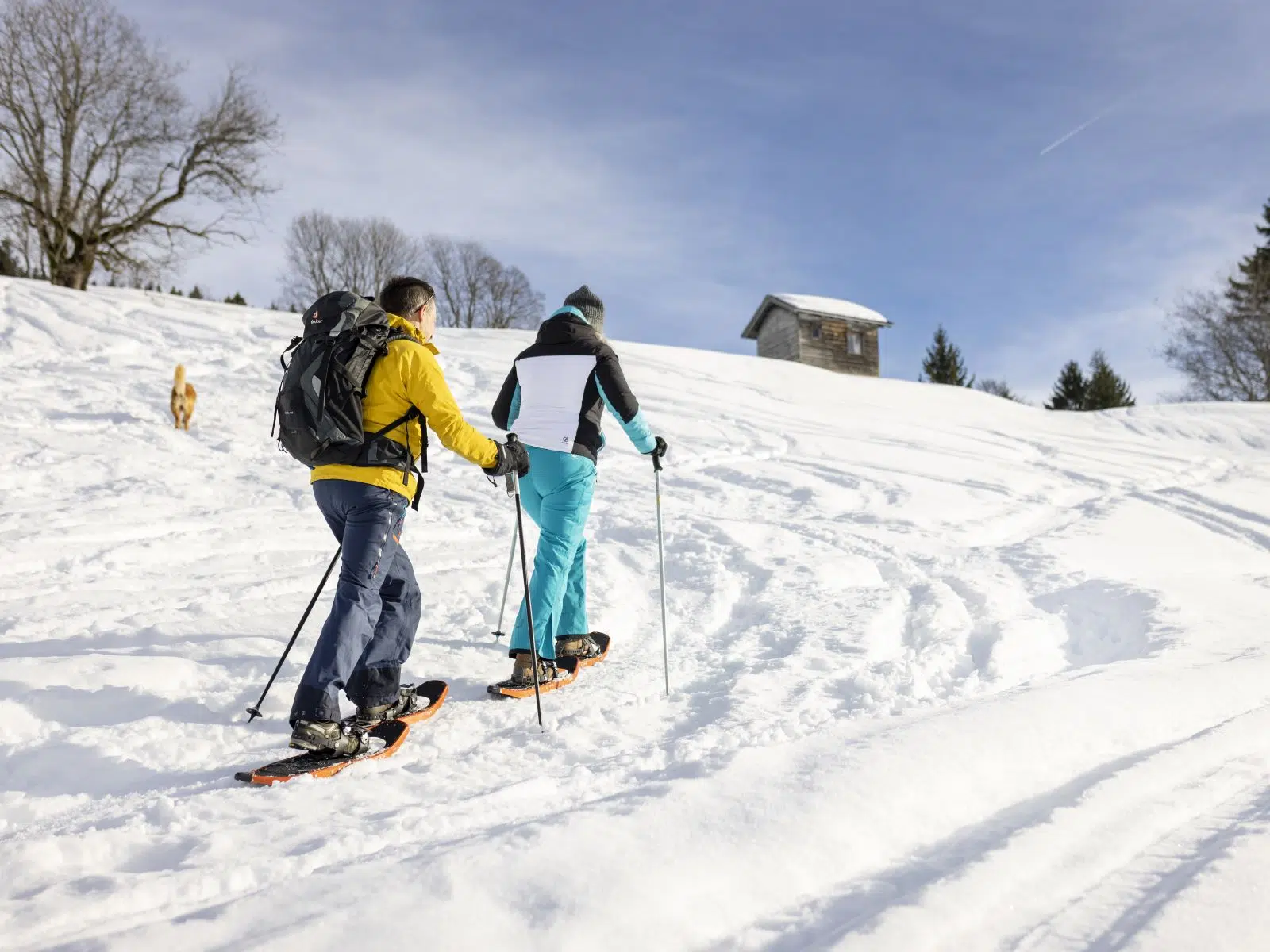 Ihr seht zwei Schneschuhwanderer auf dem Weg zu einer Hütte.