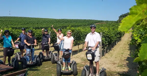 Ihr seht eine Gruppe von Personen beim Segway fahren in den Weinbergen im Burgenland.