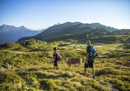 Ihr seht zwei Freunde, die entlang eines Almweges zum Muttjöchle wandern. JUFA Hotels bietet Ihnen den Ort für erlebnisreichen Natururlaub für die ganze Familie.