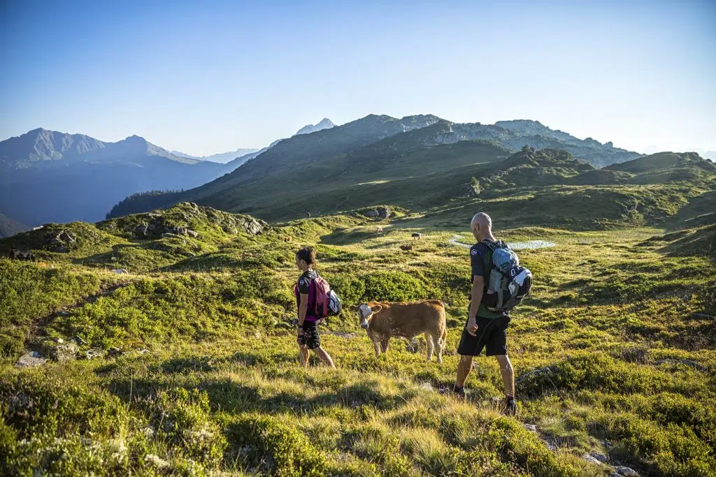 Ihr seht zwei Freunde, die entlang eines Almweges zum Muttjöchle wandern. JUFA Hotels bietet Ihnen den Ort für erlebnisreichen Natururlaub für die ganze Familie.