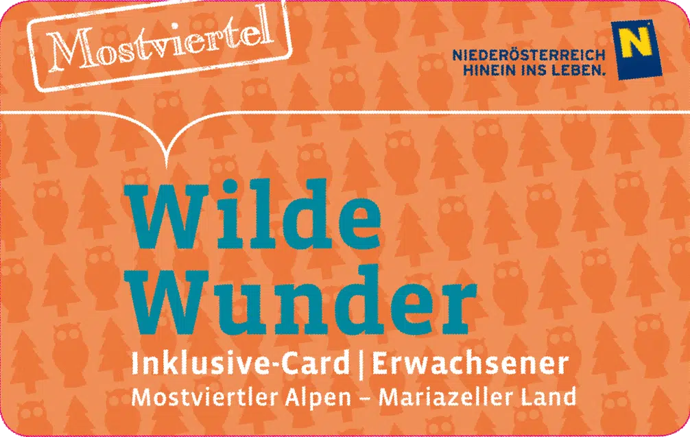 Sujetbild der Wilde Wunder Mariazeller Land. Erlebt tolle Ausflugsziele mit der Wilde Wunder Inclusive-Card und JUFA Hotels. Der Ort für erholsamen Familienurlaub und einen unvergesslichen Winter- und Wanderurlaub.