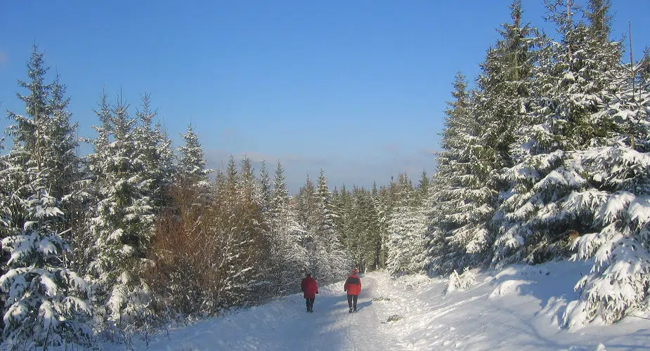 Winterwandern im Hochschwarzwald