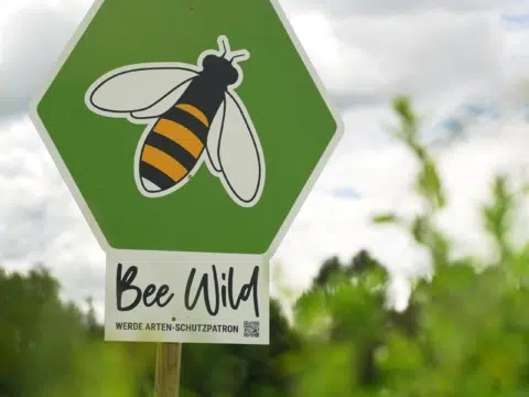 Ihr seht das Sujet vom Projekt BeeWild von Frutura.